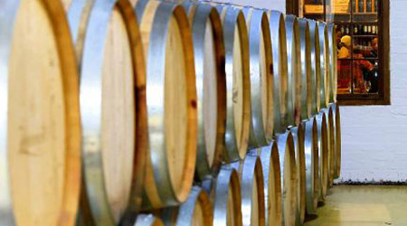 Winelands + Marine Wildlife Cruise